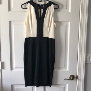 B/W Banana Republic work dress very slight wear.